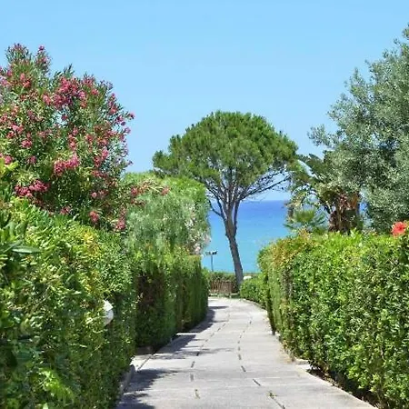 Mimosa Gialla, Cefalù