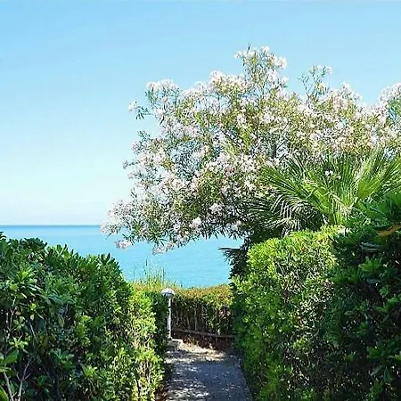 Mimosa Gialla, Cefalù